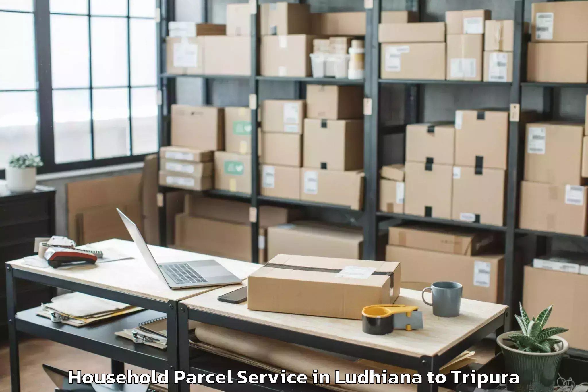 Easy Ludhiana to Boxanagar Household Parcel Booking